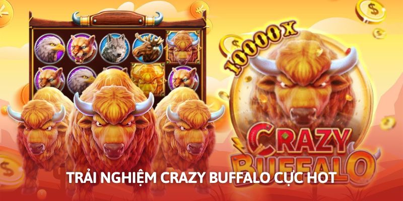 Crazy Buffalo với giao diện đẹp mắt, được đánh giá tích cực