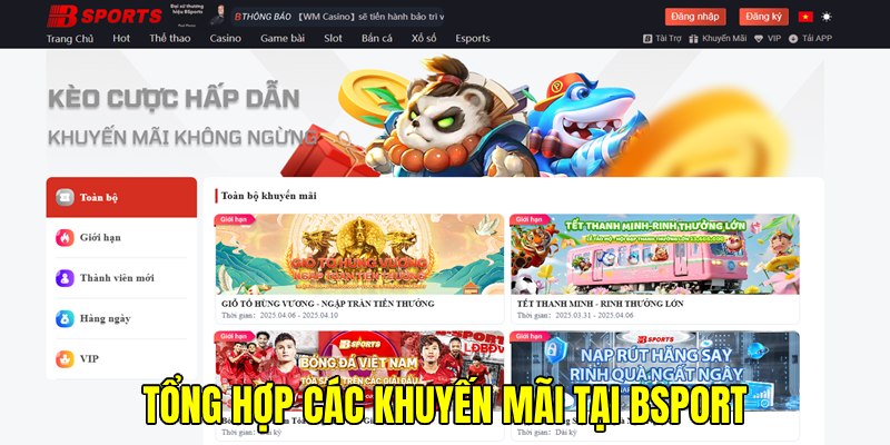 Các khuyến mãi được tổ chức thường xuyên đến khách hàng