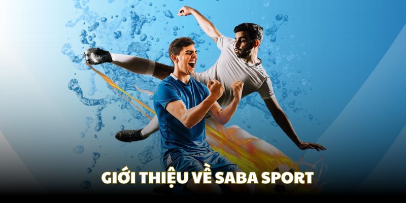 Thông tin tổng quát về sảnh thể thao Saba